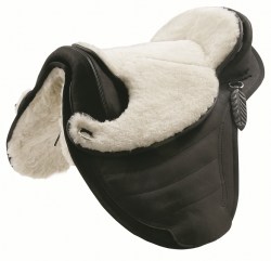 image_SHEEP_1