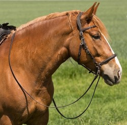 image_CON-BRID-TRAIL_274
