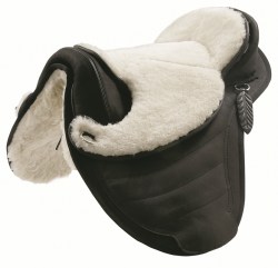 image_SHEEP_115